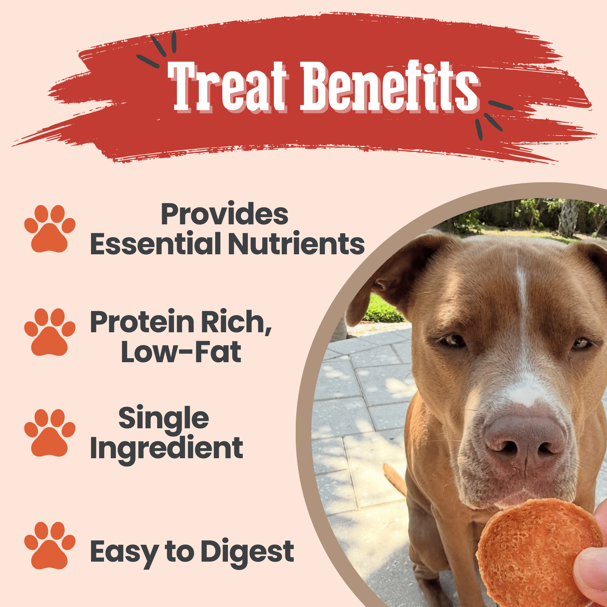 Dog treat benefits listed with a dog holding a treat.
