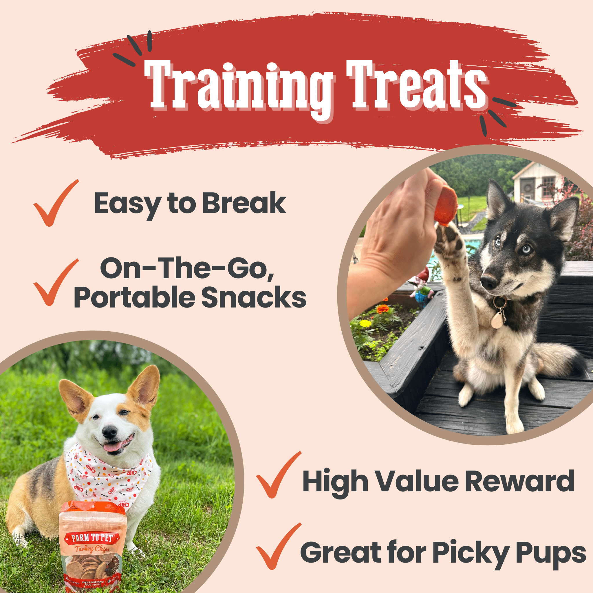 Dog training treats advertisement with images of dogs and text highlighting features.