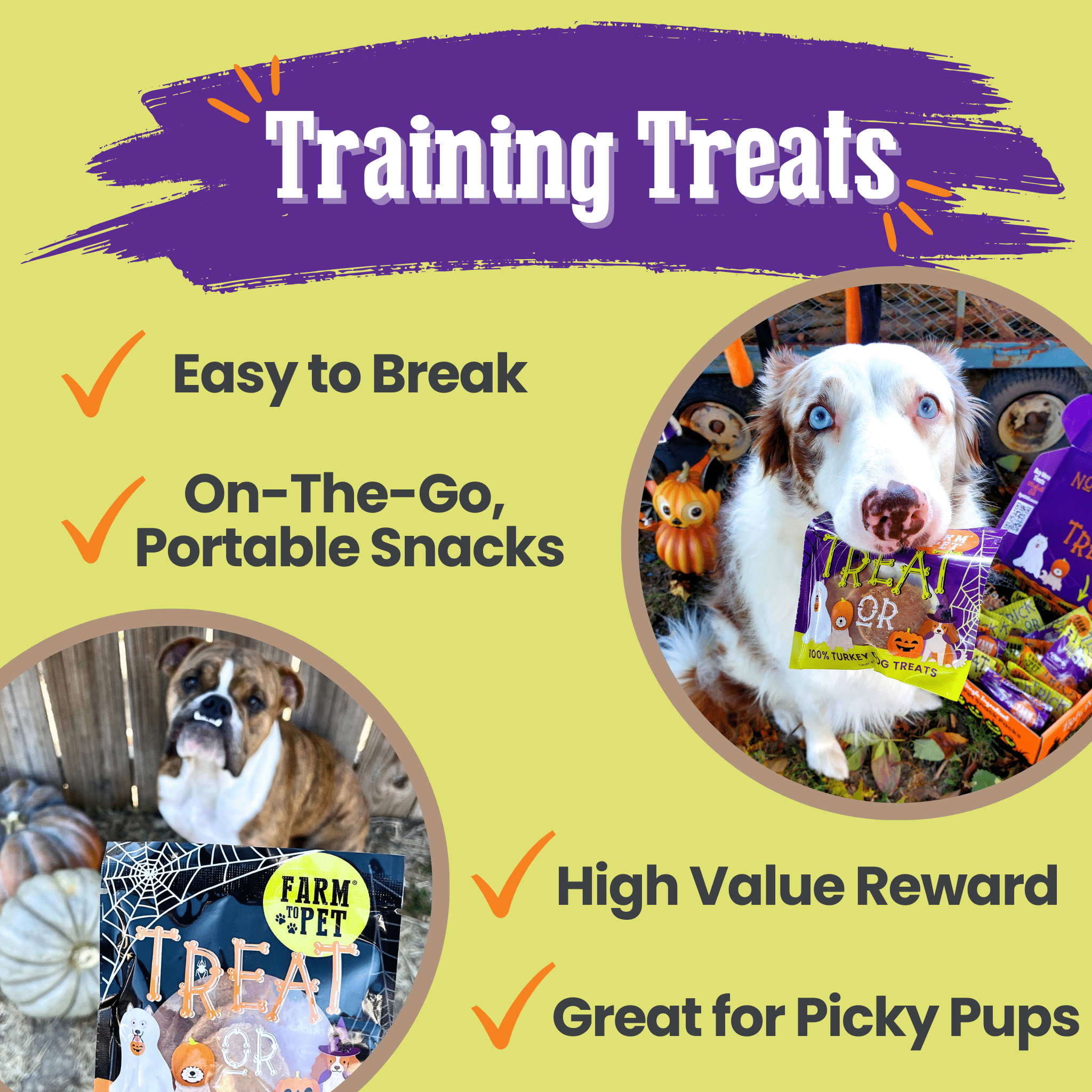 Farm To Pet Halloween Dog Treat Snack Pack – 24-Piece Healthy Bundle | Whisker House - Whisker House