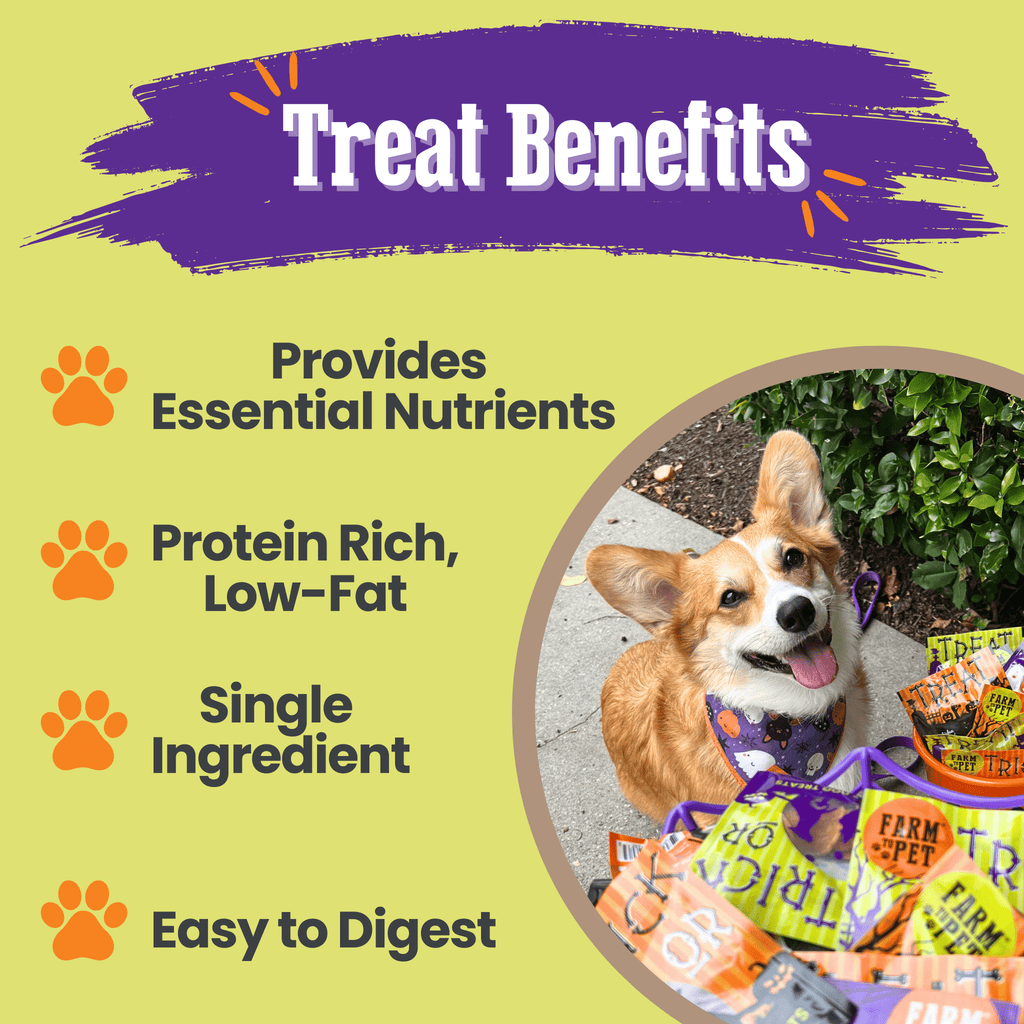 Farm To Pet Halloween Dog Treat Snack Pack – 24-Piece Healthy Bundle | Whisker House - Whisker House