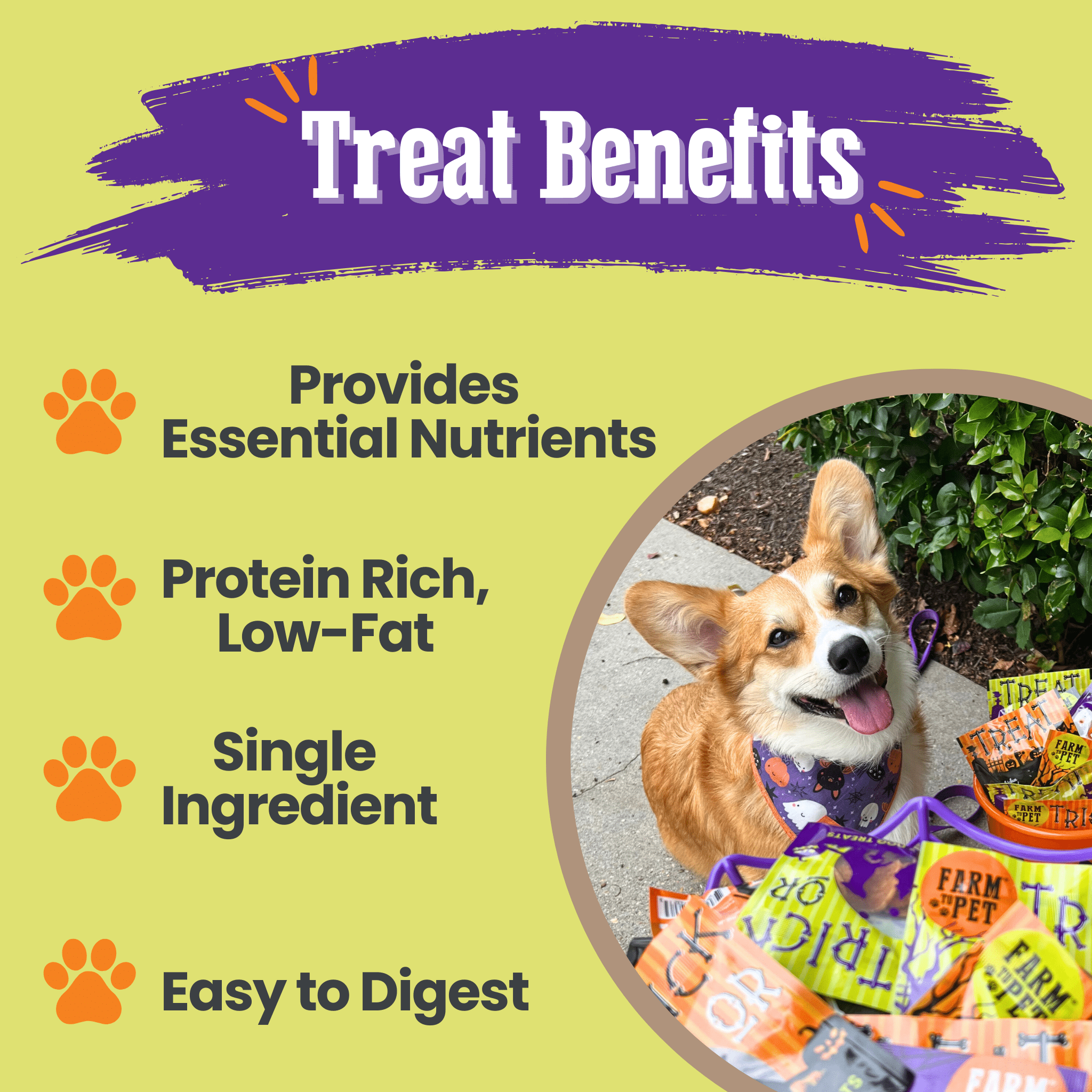 Farm To Pet Halloween Dog Treat Snack Pack – 24-Piece Healthy Bundle | Whisker House - Whisker House