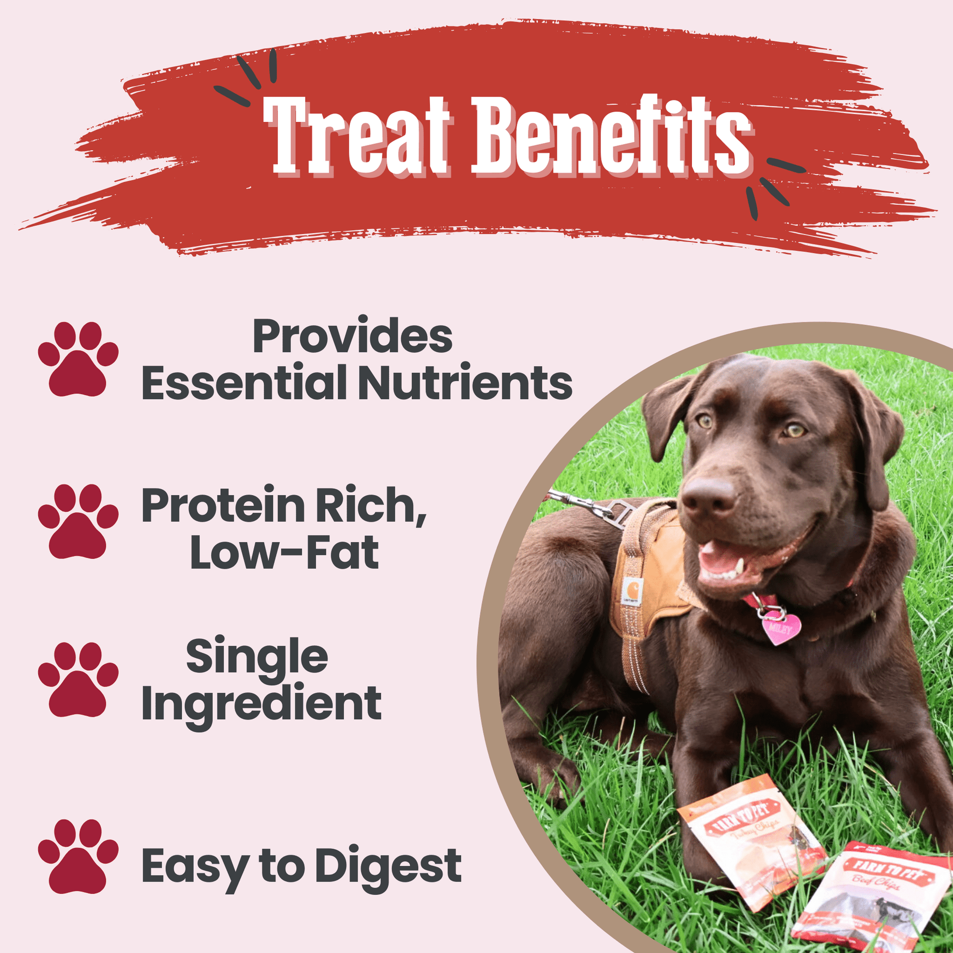 Dog lying on grass with treat packaging, surrounded by text about treat benefits.