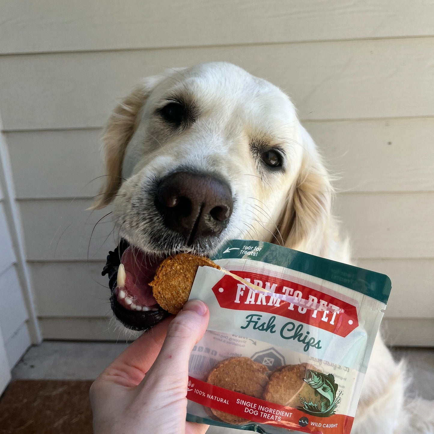 Farm To Pet Snack Pack Sampler – Single Ingredient Dog Treats Snack Pack Dog Treat Sampler Fish Pack