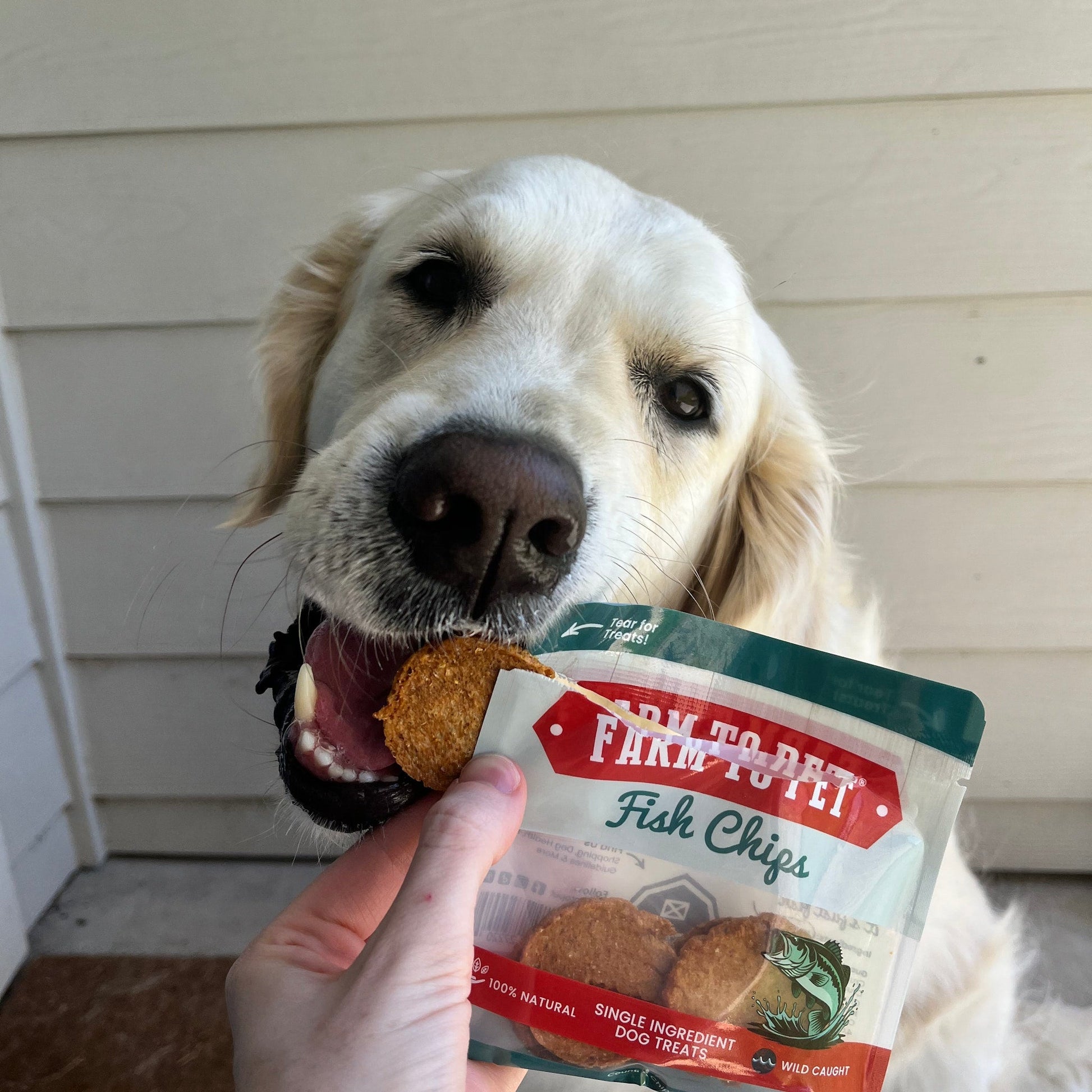 Farm To Pet Snack Pack Sampler – Single Ingredient Dog Treats Snack Pack Dog Treat Sampler Fish Pack