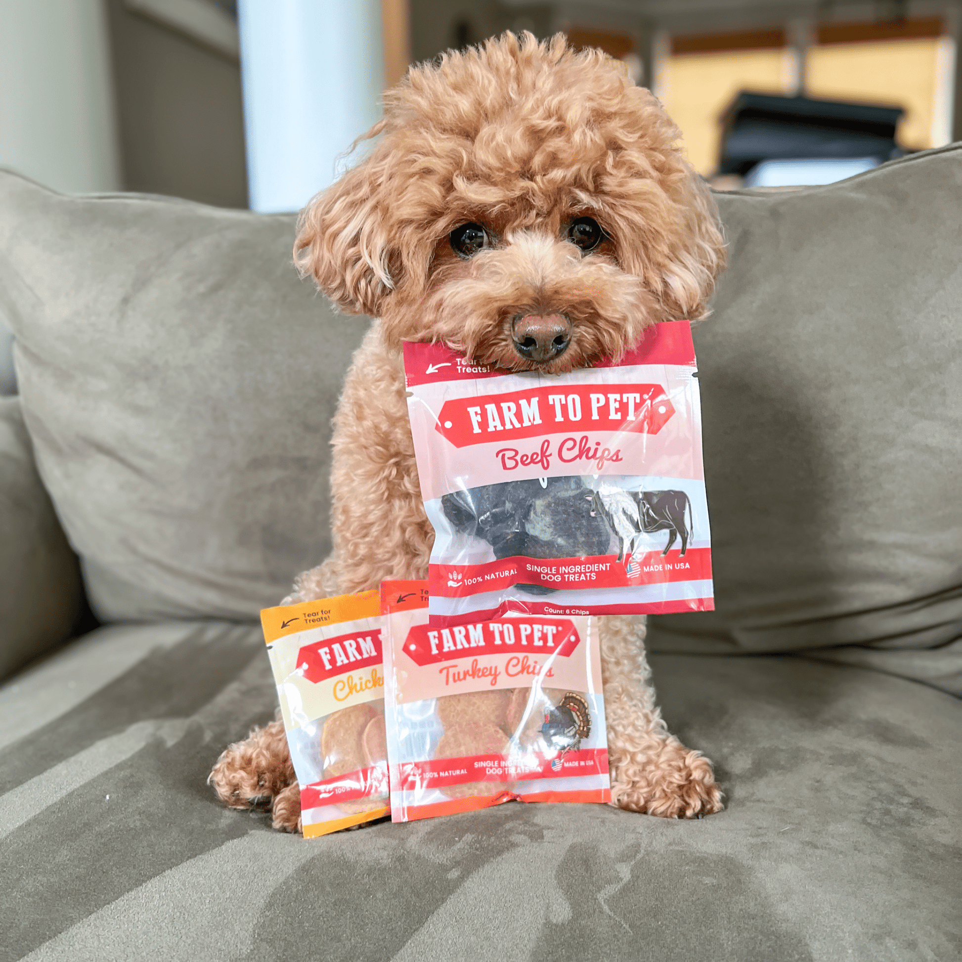 Farm To Pet Snack Pack Sampler – Single Ingredient Dog Treats Snack Pack Dog Treat Sampler small dog