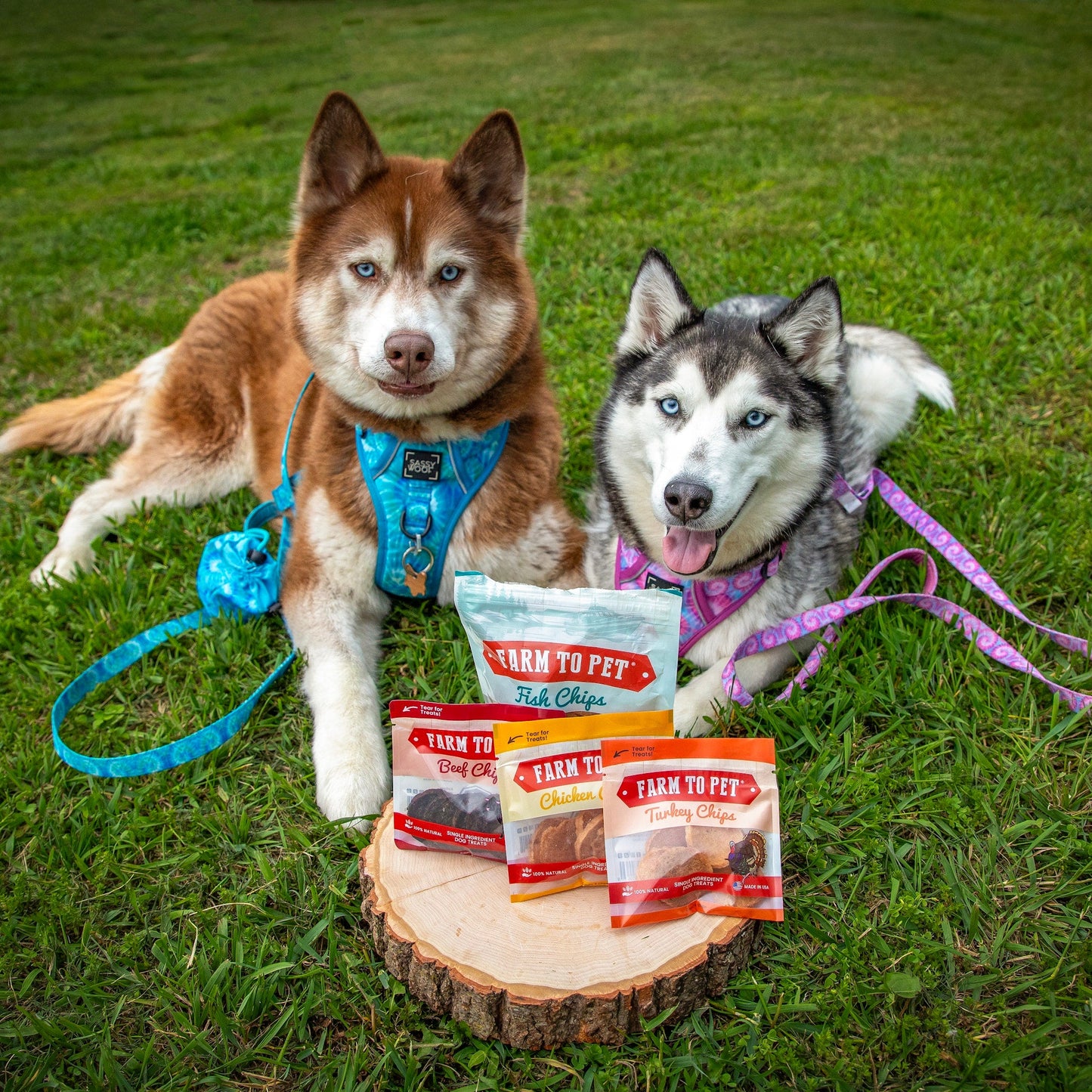 Two husky dogs with 'Farm to Pet' dog food packages on a grassy background