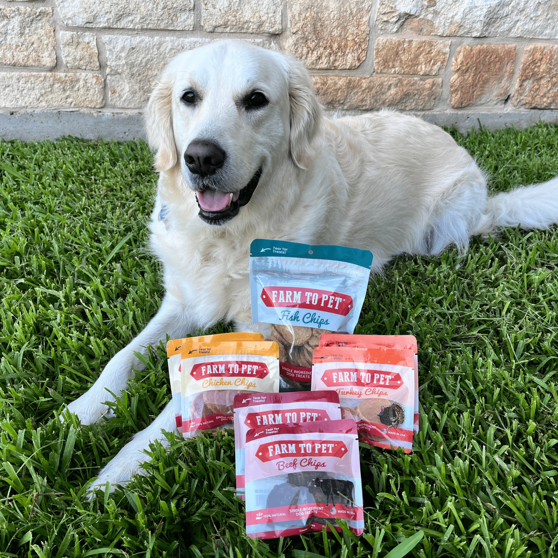 Dog sitting on grass with 'Farm to Pet' pet food packages