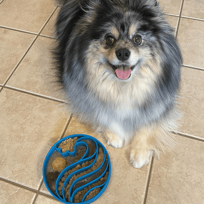 SodaPup Slow Feeder Dog Bowls – Slow Feeder Dog Bowl Blue Wave dog bowl 3