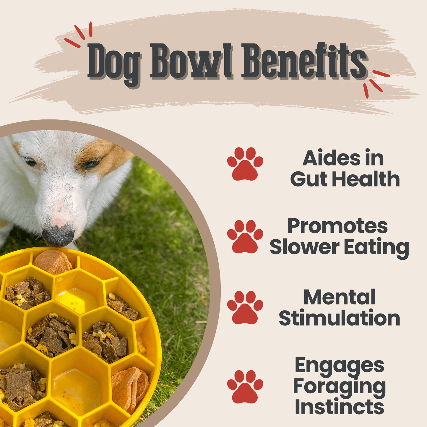 SodaPup Slow Feeder Dog Bowls – Slow Feeder Dog Bowl Yellow Honeycomb Benefits