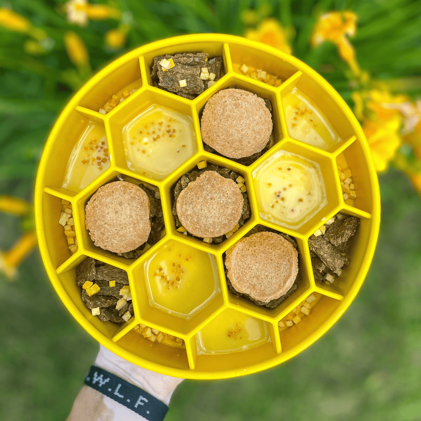 SodaPup Slow Feeder Dog Bowls – Slow Feeder Dog Bowl Yellow Honeycomb slow feeder dog bowl 2