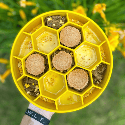 SodaPup Slow Feeder Dog Bowls – Slow Feeder Dog Bowl Yellow Honeycomb slow feeder dog bowl 2