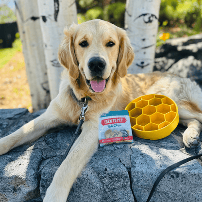 SodaPup Slow Feeder Dog Bowls – Slow Feeder Dog Bowl Yellow Honeycomb slow feeder dog bowl 4