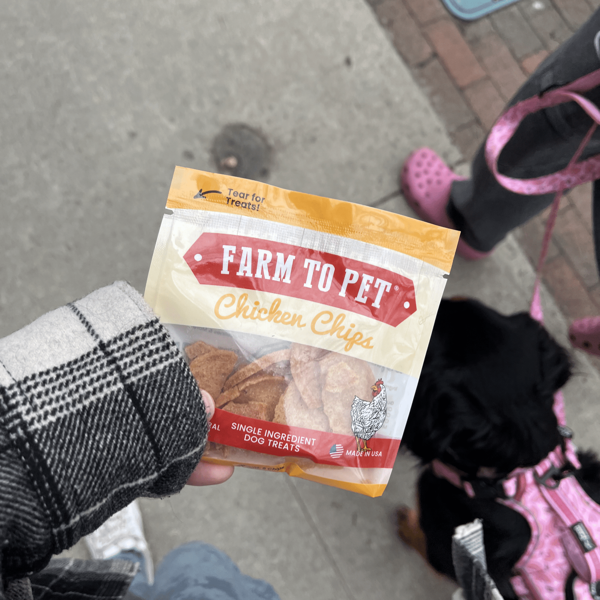 Chicken Chips Snack Packs – Treats Chicken Chips snack pack training treats on the go 49a8 445e 9f72 1e021c112d26