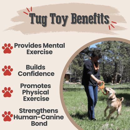 SodaPup Dog Tug Toys – Tug Toy Orange Pop Top Tug Benefits