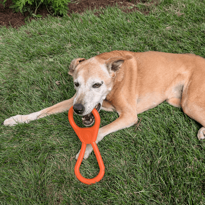 SodaPup Dog Tug Toys – Tug Toy Orange Pop Top Tug Dog Chewing