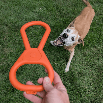 SodaPup Dog Tug Toys – Tug Toy Orange Pop Top Tug Dog Playing