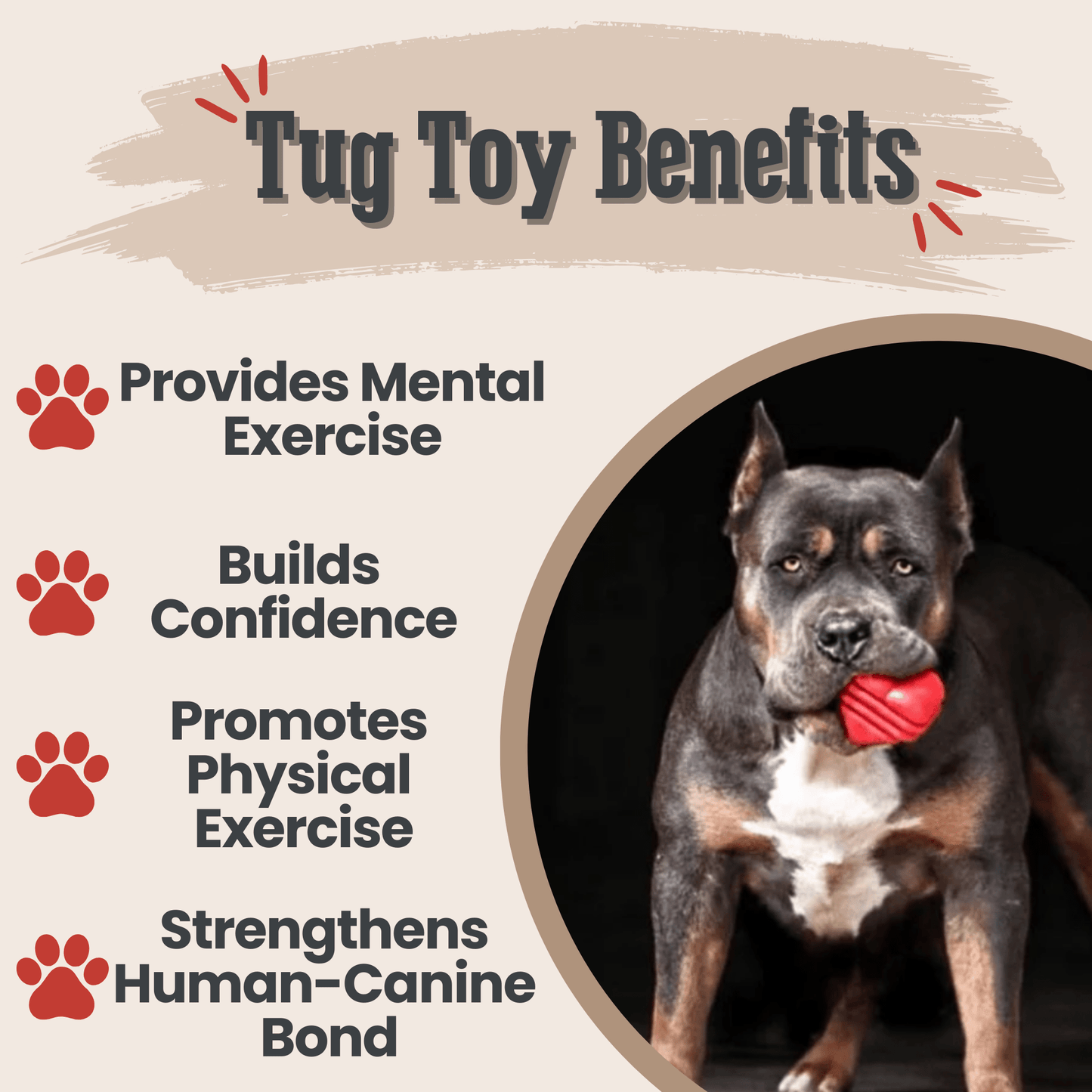 SodaPup Dog Tug Toys – Tug Toy Red Heart on a String Benefits