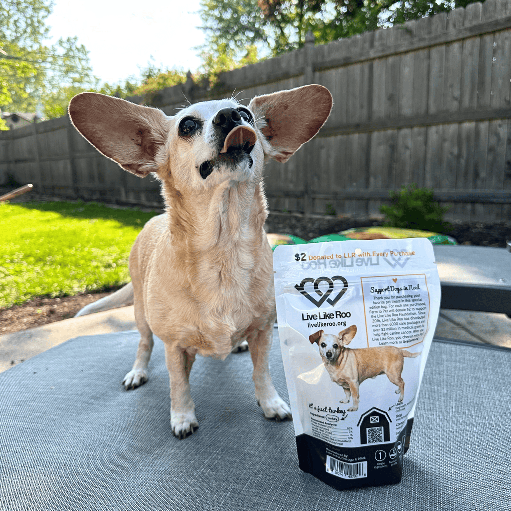 Farm To Pet Live Like Roo Turkey Chips for Dogs – Healthy Single Ingredient Treats | Whisker House - Whisker House