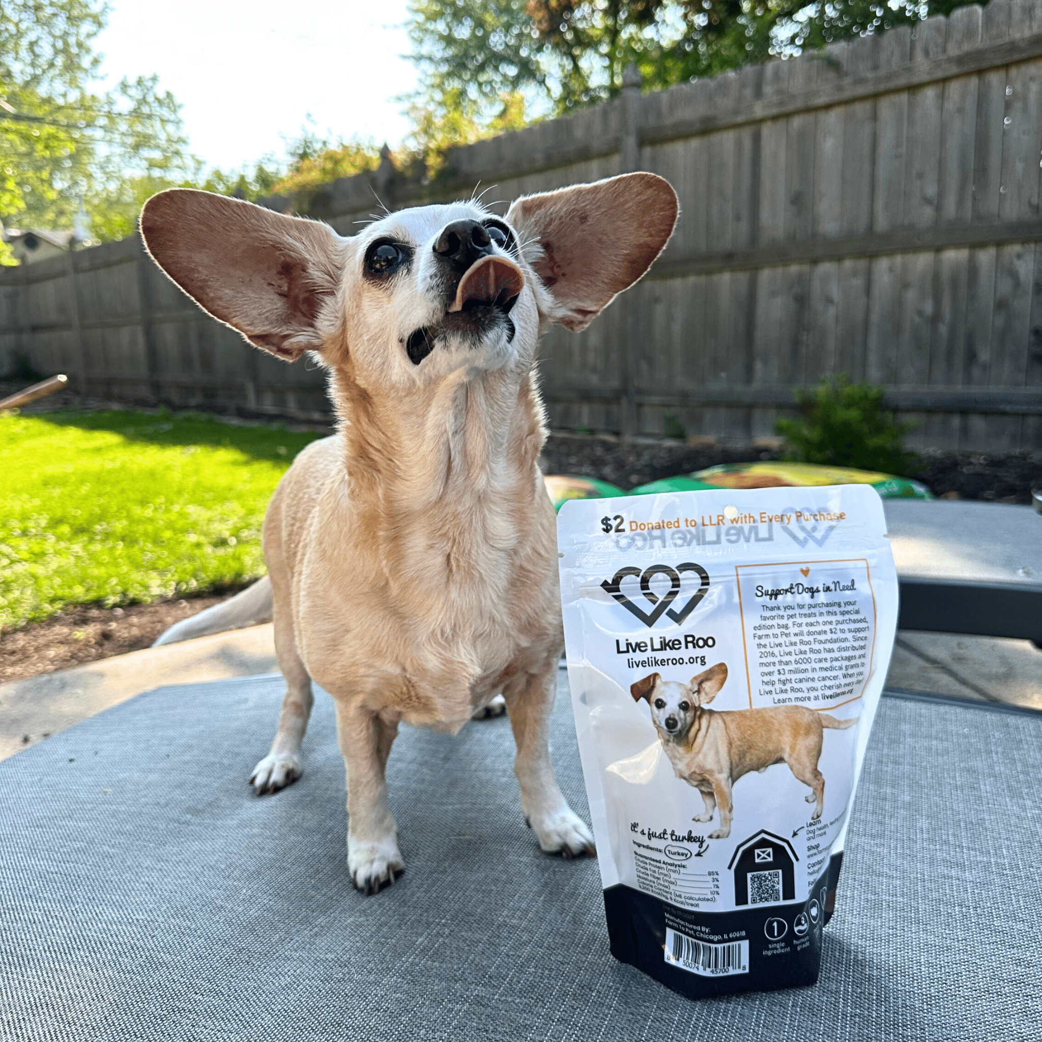 Farm To Pet Live Like Roo Turkey Chips for Dogs – Healthy Single Ingredient Treats | Whisker House - Whisker House