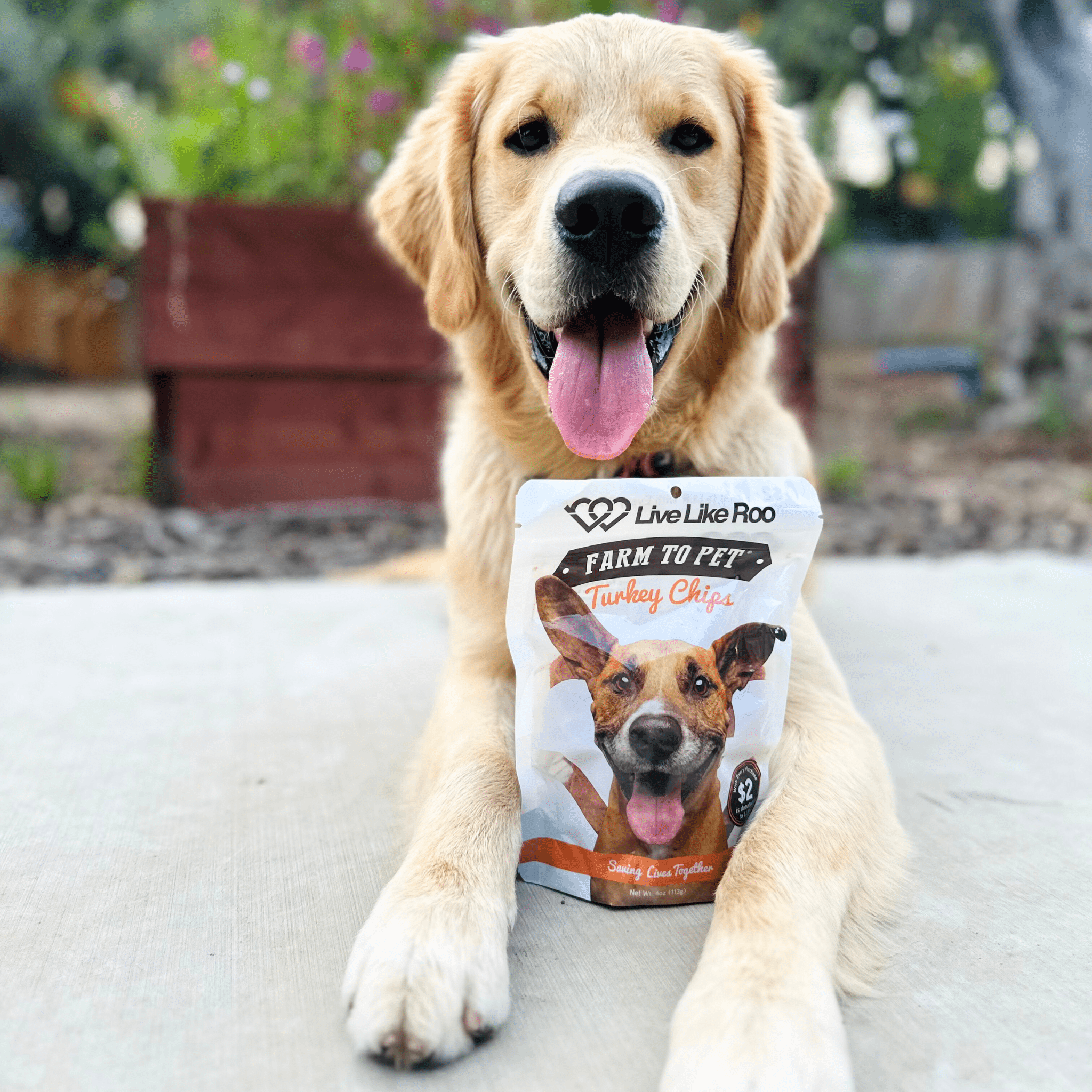Farm To Pet Live Like Roo Turkey Chips for Dogs – Healthy Single Ingredient Treats | Whisker House - Whisker House