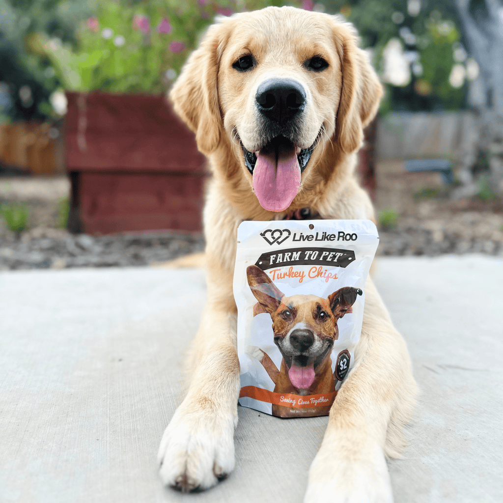 Farm To Pet Live Like Roo Turkey Chips for Dogs – Healthy Single Ingredient Treats | Whisker House - Whisker House