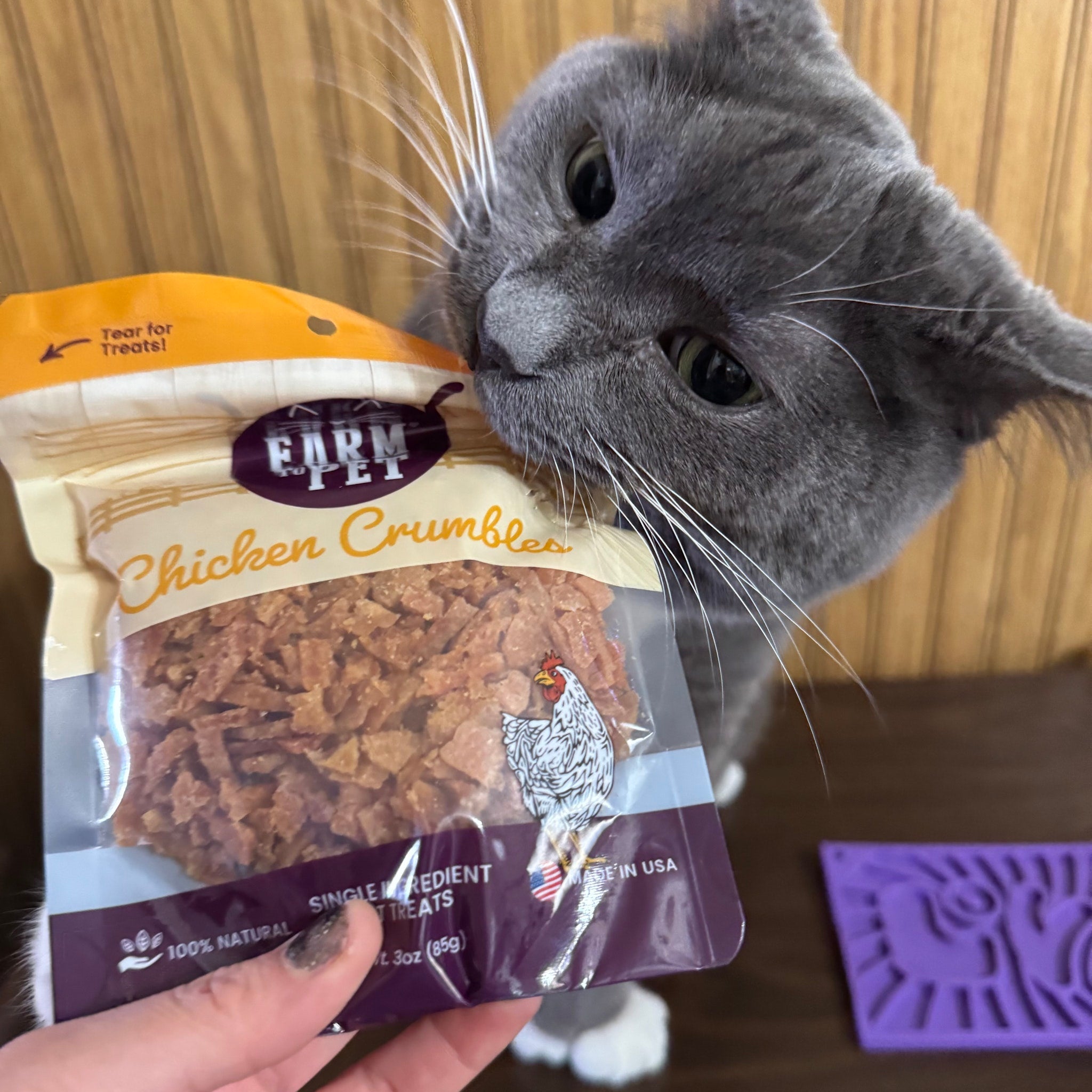 Gray cat sniffing a package of Farm Pet Chicken Crumbles treats.