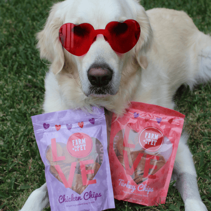 Puppy Love Dog Treat Duo – Valentine Puppy Love Dog Treats Poultry Treat Variety Pack 2 bags 4oz Combo red glasses