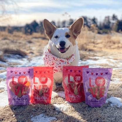 Puppy Love Dog Treat Duo – Valentine Puppy Love Dog Treats Poultry Treat Variety Pack 4 bags 4oz Combo Corgi