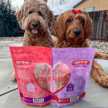 Puppy Love Dog Treat Duo – Valentine Themed Turkey and Chicken Chips Heatlhy Puppy Love dog treats two dogs