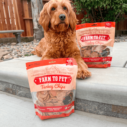 Dog sitting on a stone surface with two packages of Farm to Pet Turkey Chips in front of it.