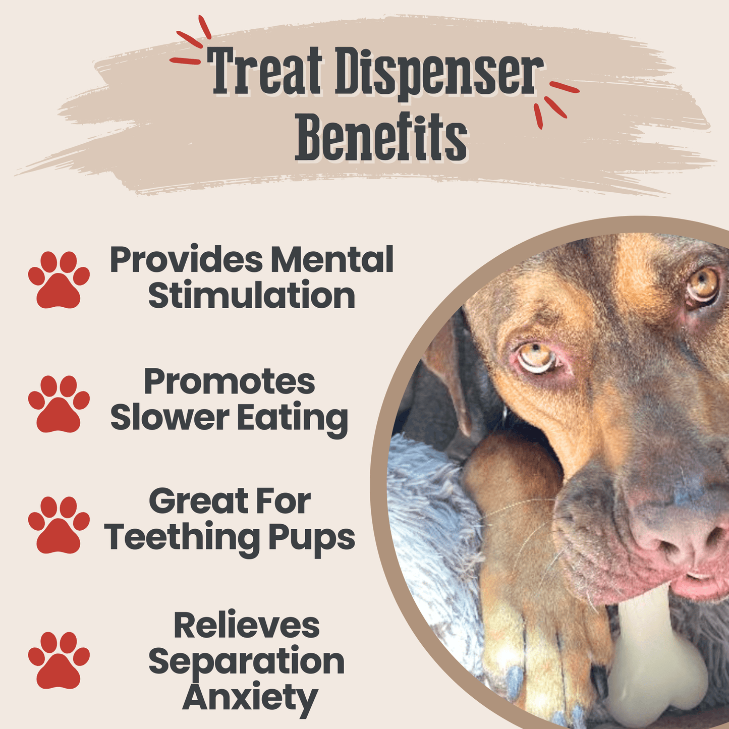 Dog treat dispenser benefits with a dog eating from a bone-shaped treat.