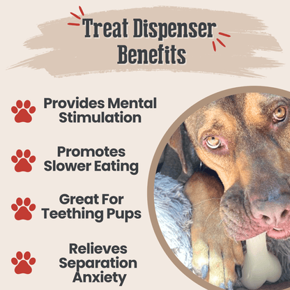 Dog treat dispenser benefits with a dog eating from a bone-shaped treat.