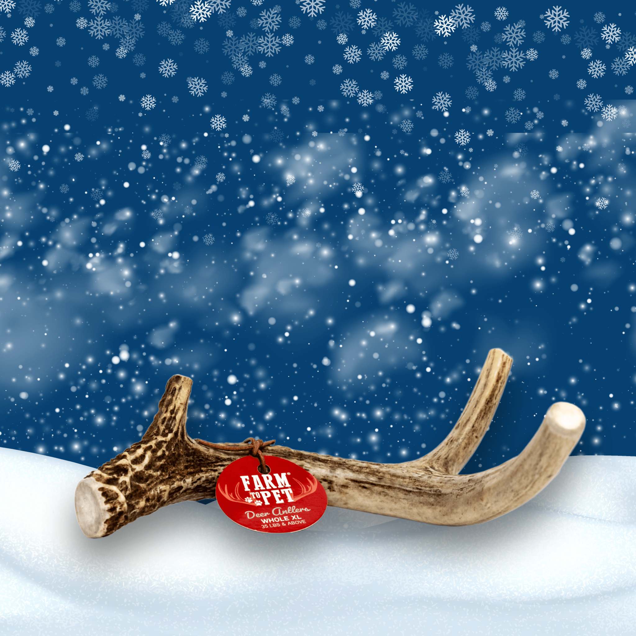 Antlers with a red tag on a snowy landscape with a blue sky.
