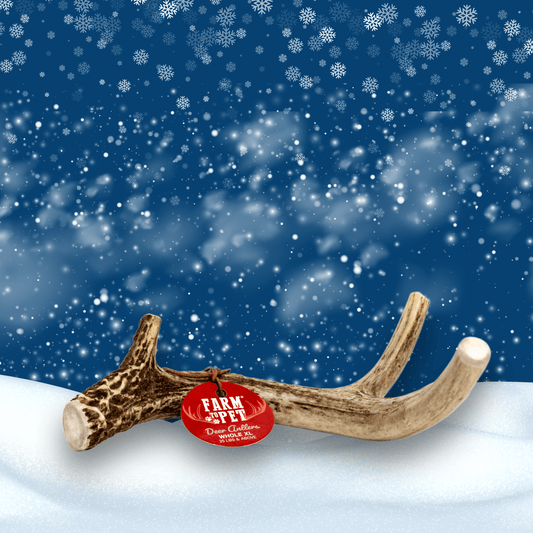 Antlers with a red tag on a snowy landscape with a blue sky.