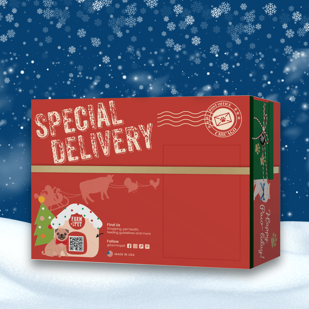 Red Christmas-themed box labeled 'Special Delivery' with a snowy background