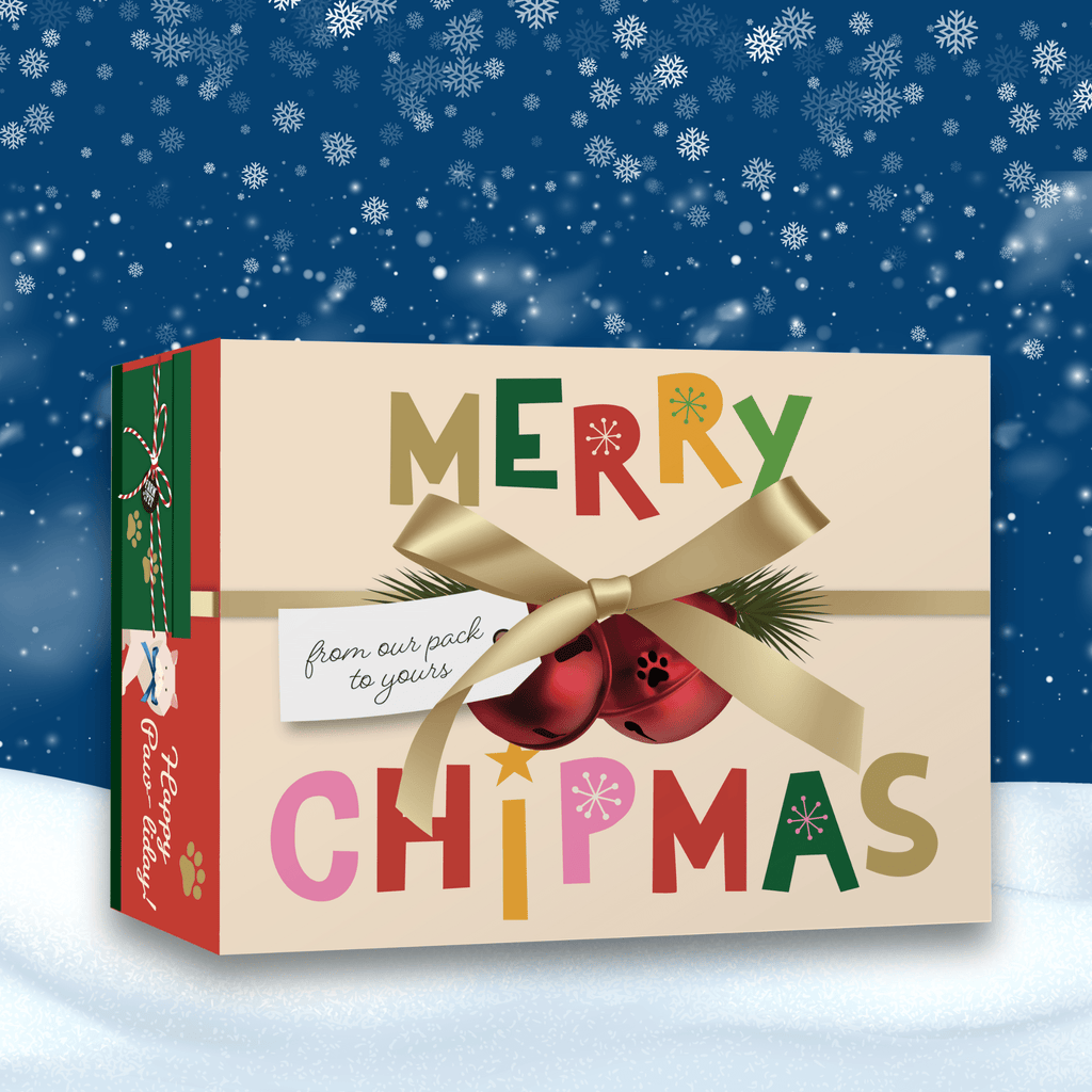 Christmas-themed gift box with colorful text and a bow against a snowy background