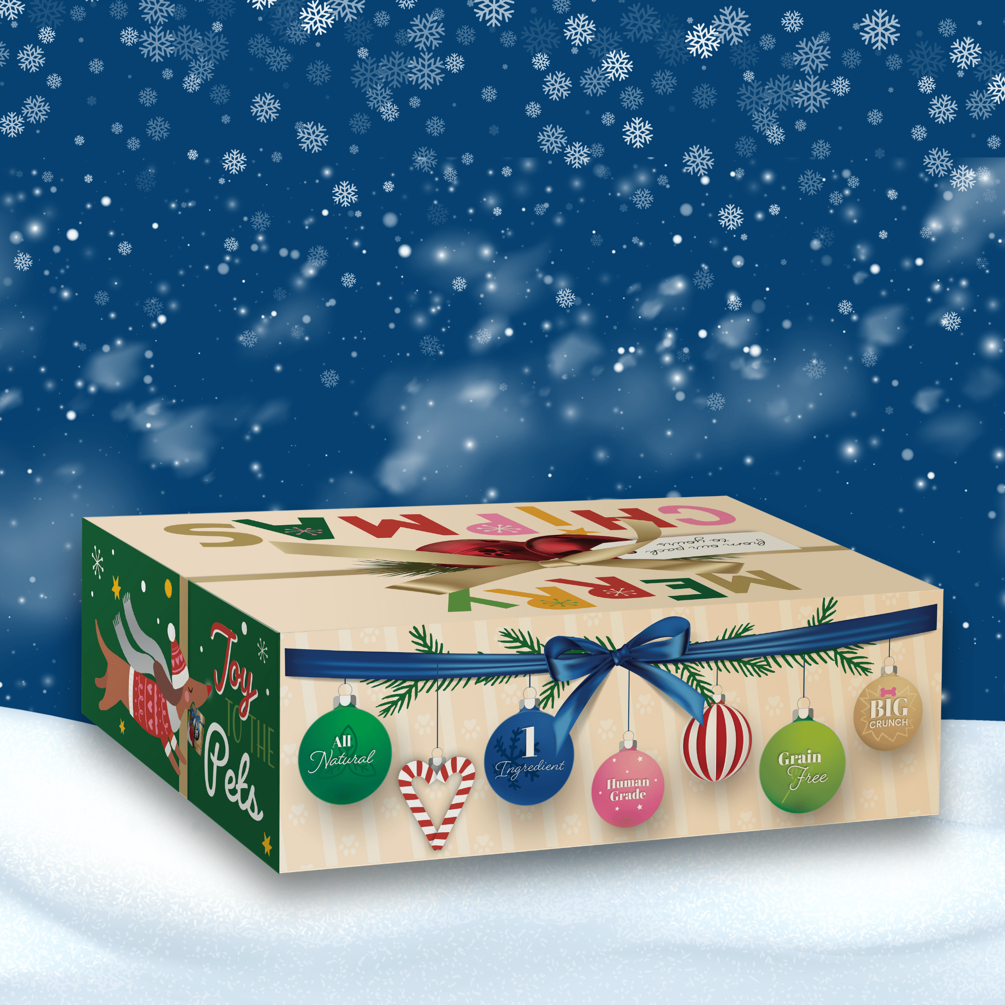 Christmas-themed gift box with festive design on a snowy background