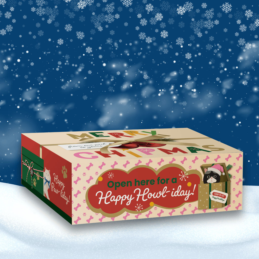 Christmas-themed gift box with festive design on a snowy background
