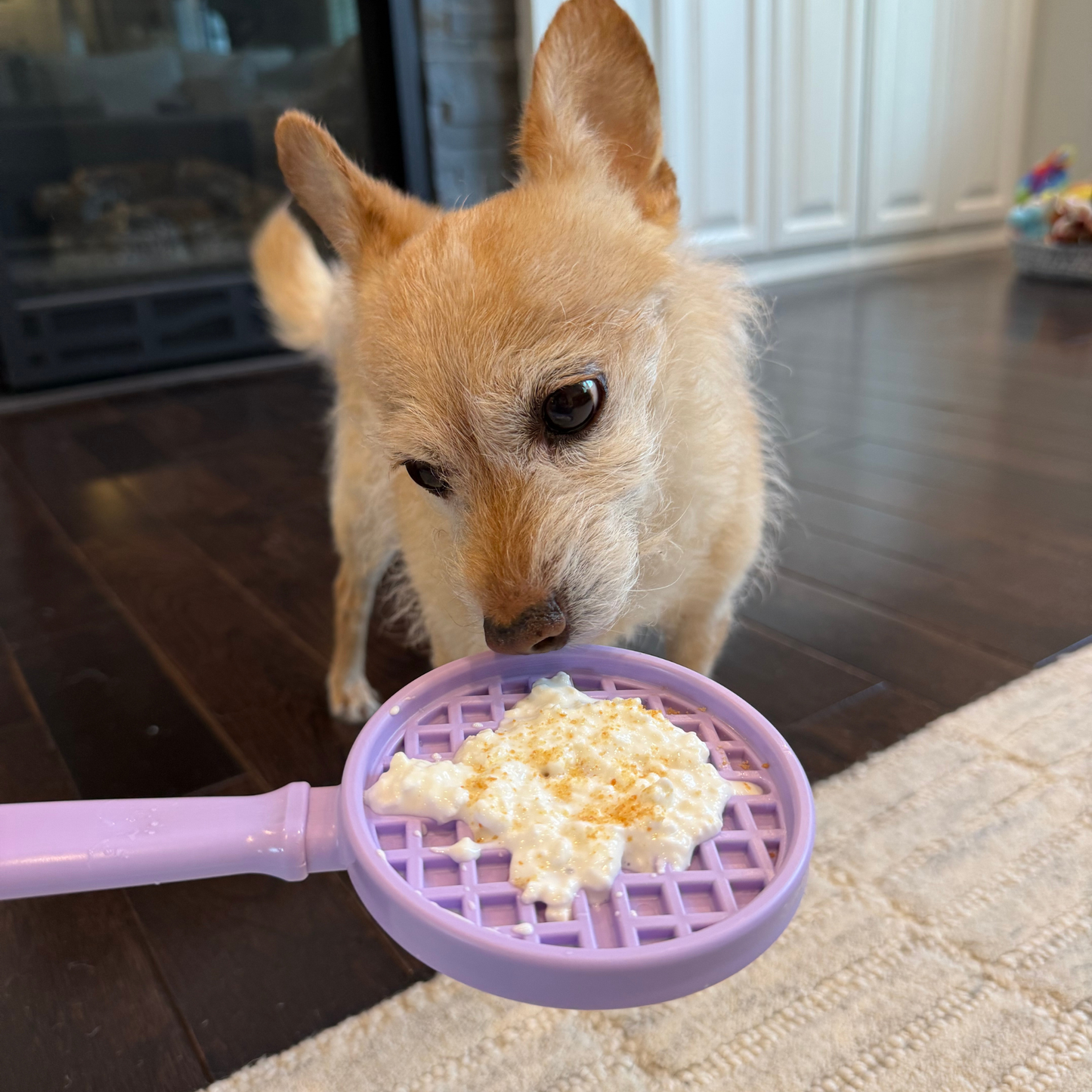 Dog eating from a purple pet food scoop filled with kibble on a wooden floor.