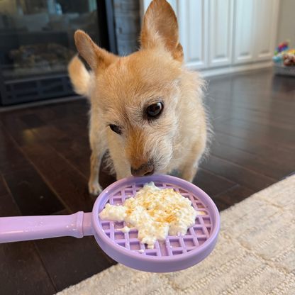 Dog eating from a purple pet food scoop filled with kibble on a wooden floor.