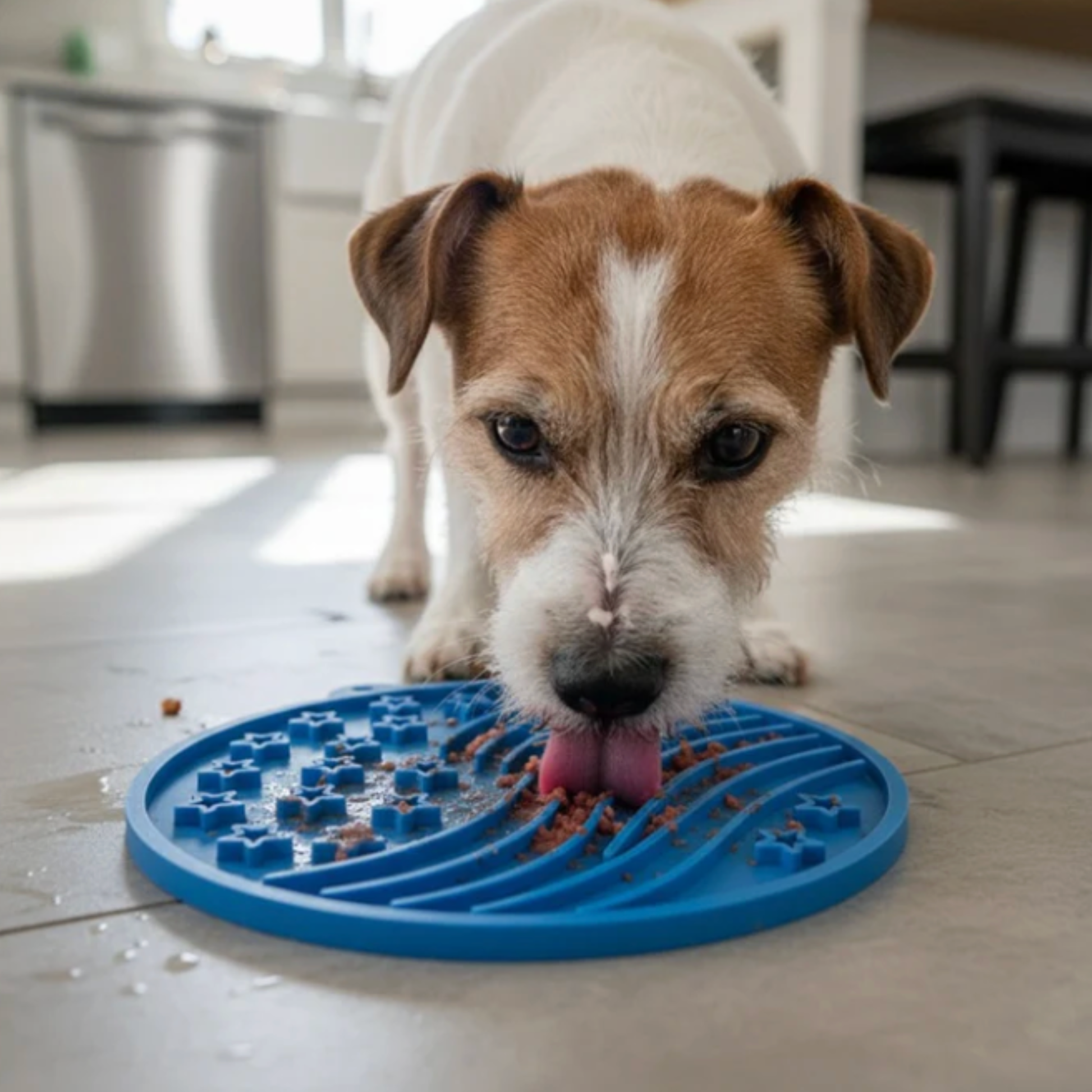 Dog eating from a blue slow feeder mat on a kitchen floor.