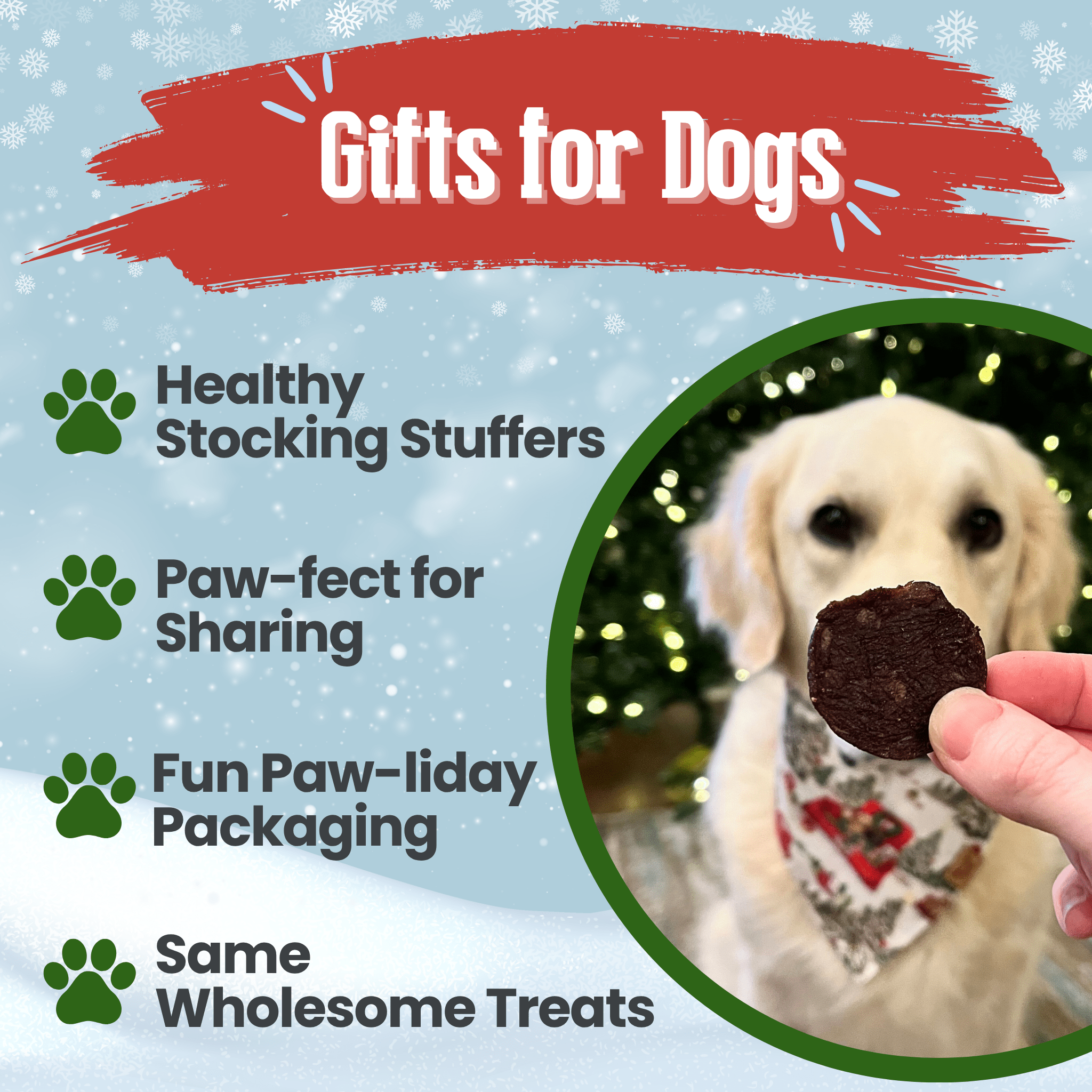 Promotional graphic for dog gifts with a dog holding a treat and text about healthy stocking stuffers.