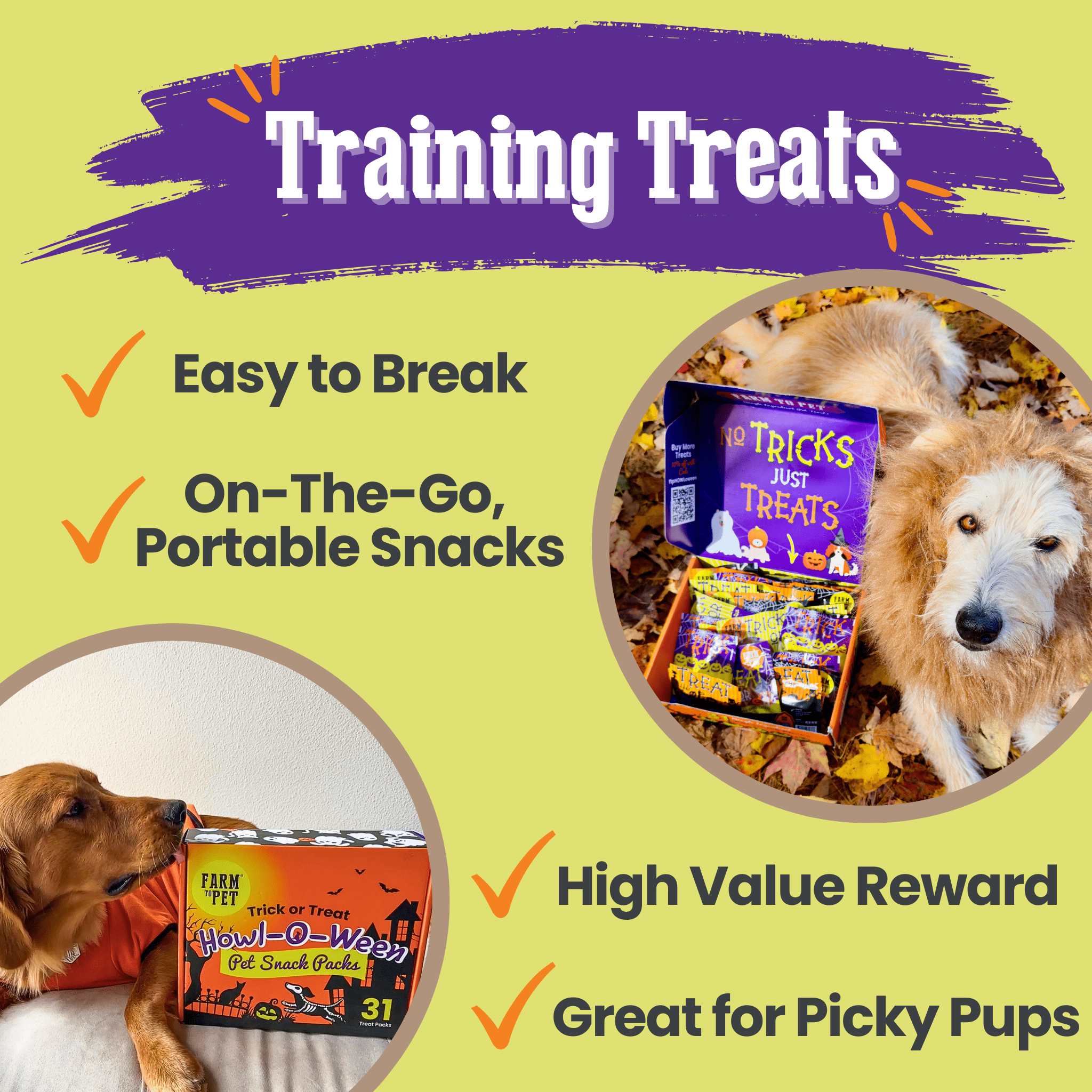 Farm To Pet Halloween Dog Treat Box – 31 Snack Packs - Whisker House