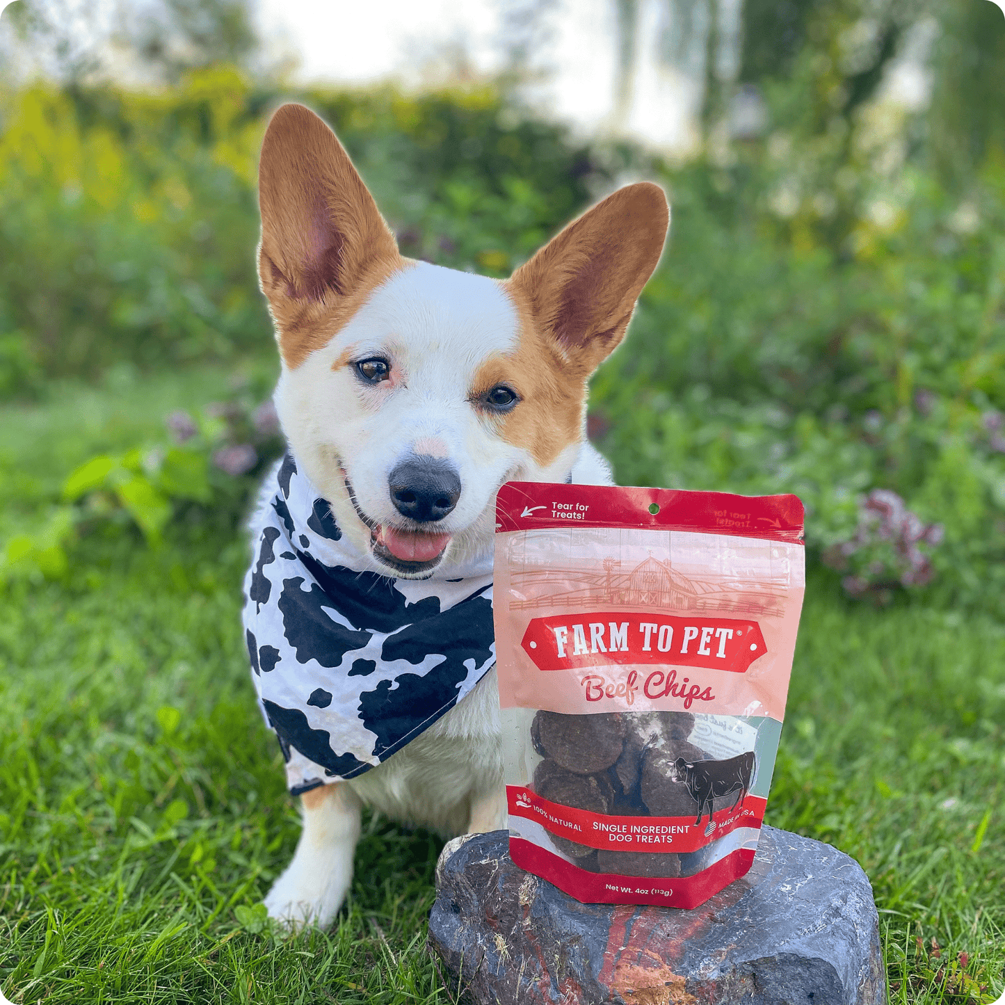Farm To Pet Beef Chips – beef chips healthy dog treats for corgis