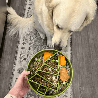 Dog interacting with a green food puzzle toy filled with treats on a wooden floor.