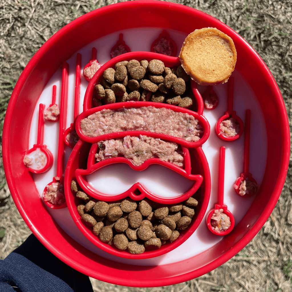 Red pet food bowl with various pet treats on a grassy background