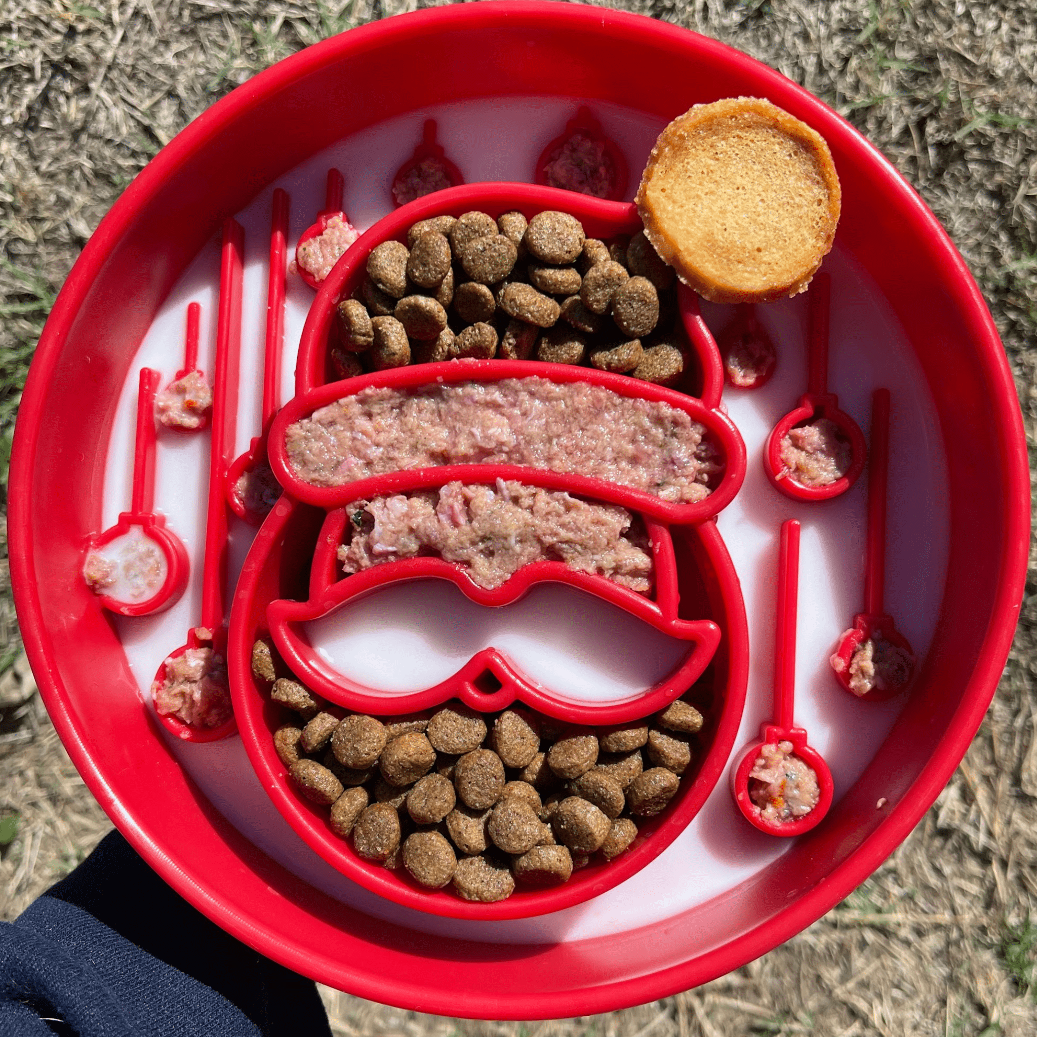 Red pet food bowl with various pet treats on a grassy background