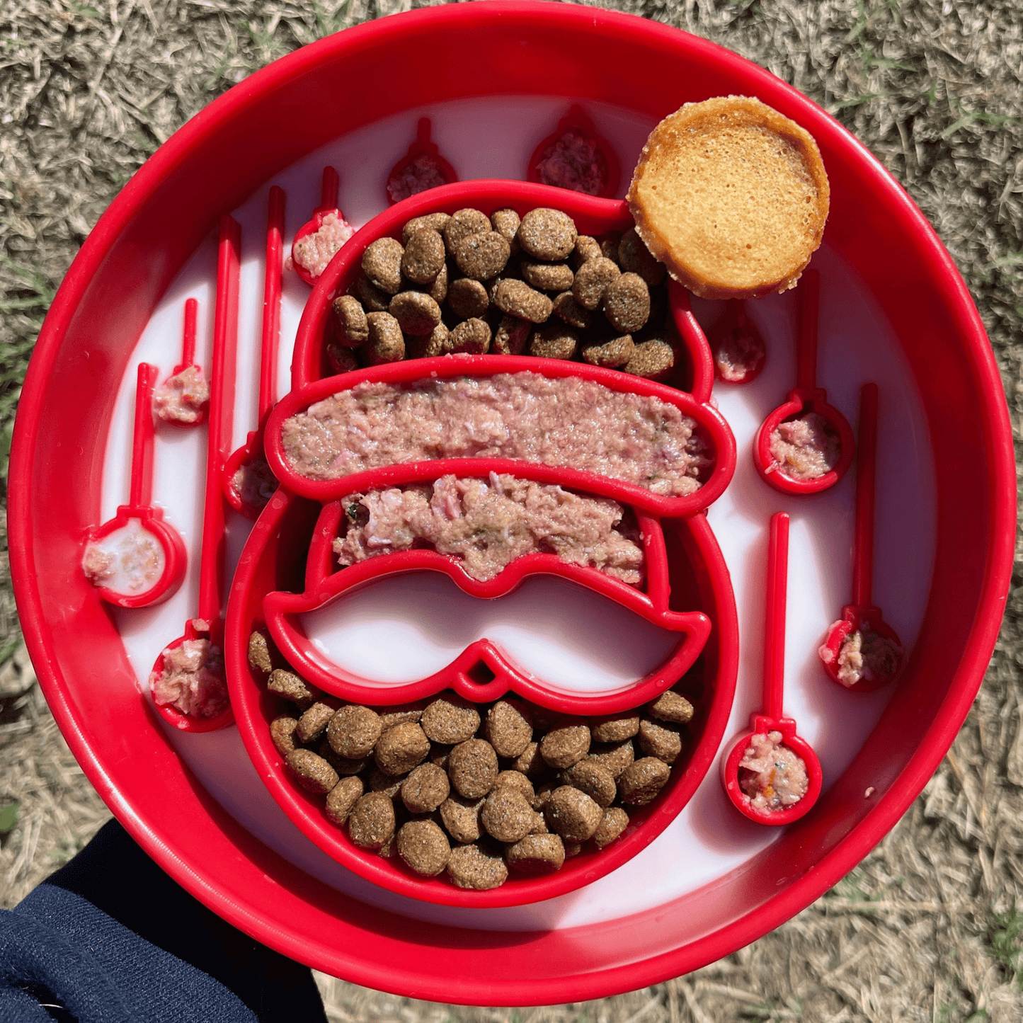 Red pet food bowl with various pet treats and kibble on a grassy background