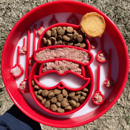 Red pet food bowl with various pet treats and kibble on a grassy background