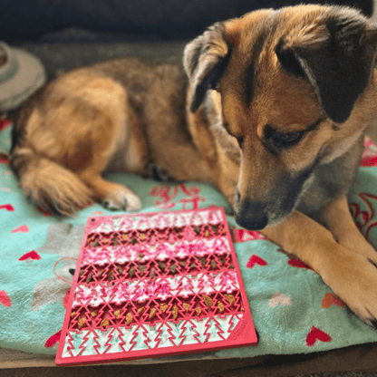 Dog lying on a blanket with a pink and red geometric card in front of it